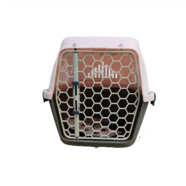 Flight Carrier 20 inch Pink
