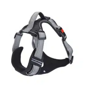 Basil Dog Fully Padded Harness with Handle - Grey