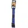 Basil Padded Collar Blue for dogs