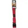 Basil Padded Collar Red for dogs