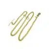 WPZ Gold Choke Chain For Dog