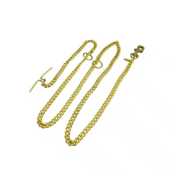WPZ Gold Choke Chain For Dog
