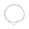 WPZ Steel Choke Chain For Dog