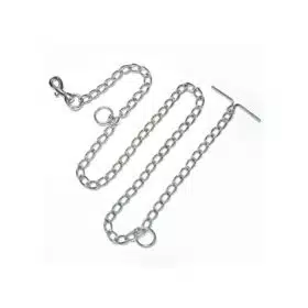 chain leash