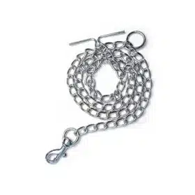 chain leash