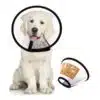 WPZ E-Collar for Dog 2