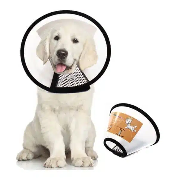 WPZ E-Collar for Dog 2