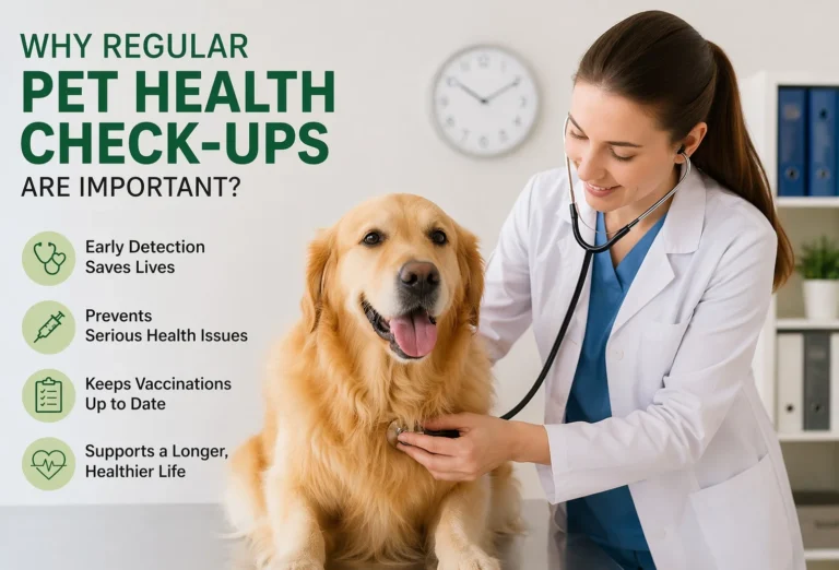 WHY REGULAR PET HEALTH CHECK UP IS IMPORTANT ?