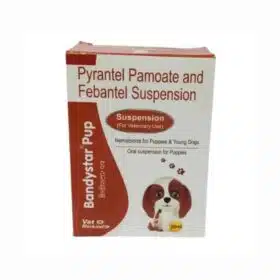 Vivaldis Asbrip Syrup (2)