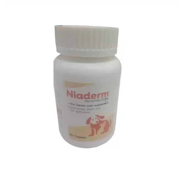 Vvaan Niaderm 500mg Caplets
