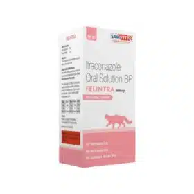 Felintra Itraconazole Oral Solution Cat