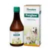 Himalaya Furglow Skin and Coat Tonic for Dogs