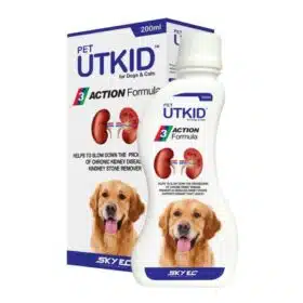 UTKID