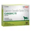 Carodyl 100 Tablet for Dogs (1)