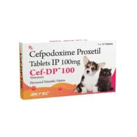 Cef Dp -100 mg Tablets