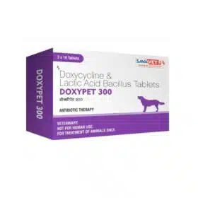 Doxypet Doxycycline Tablet 300 mg
