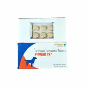 Vivaldis Firotail Firocoxib Tablet for Dogs