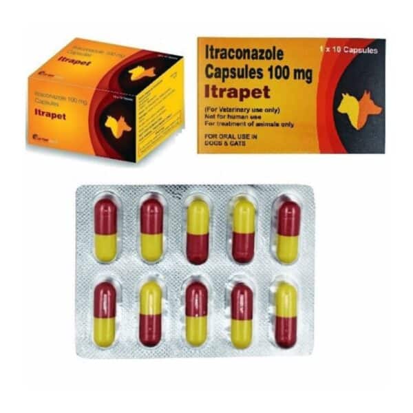 Itrapet Itraconazole Tablet for Dogs and Cats