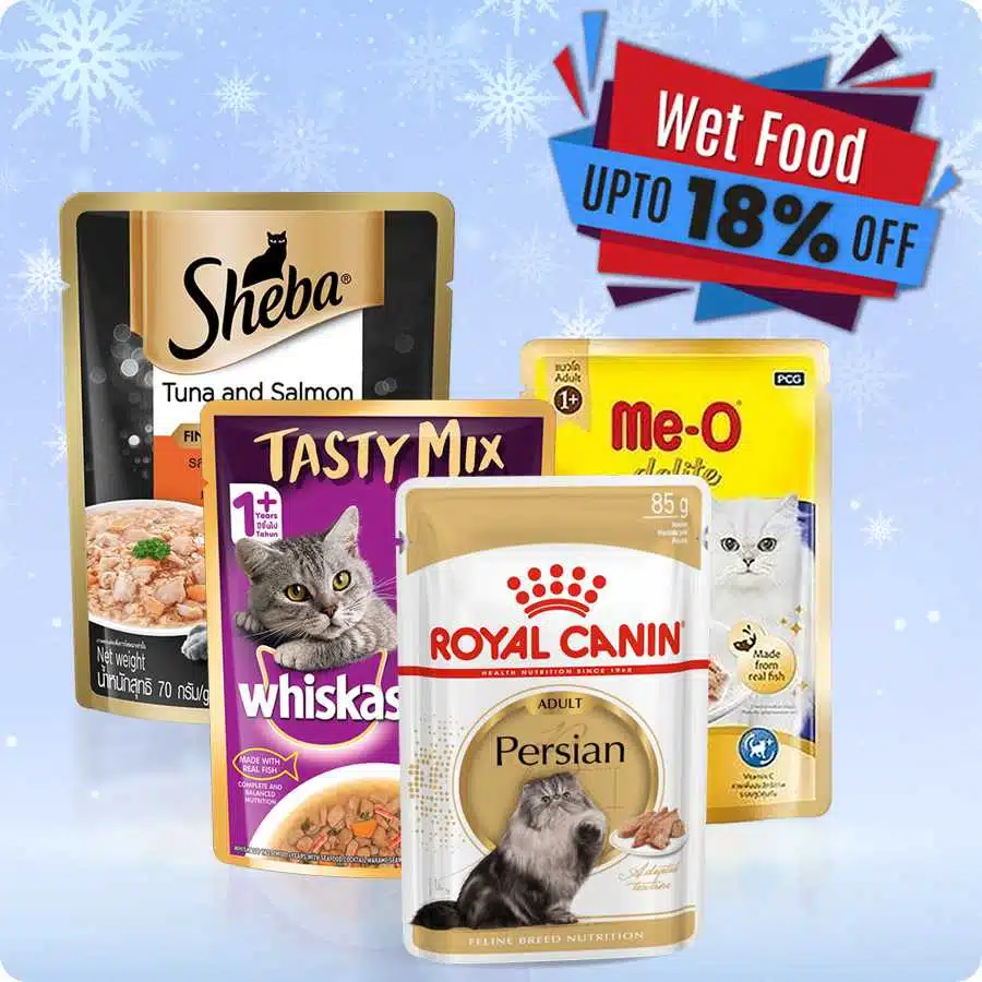 Cat Offers wet food
