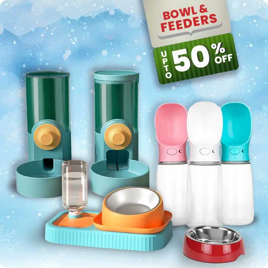 Dog Offers Bowl & Feeders