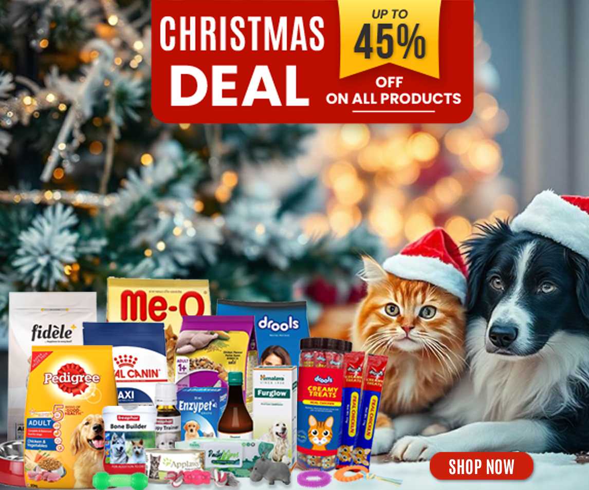 Christmas Deal discount upto 45% off on all products