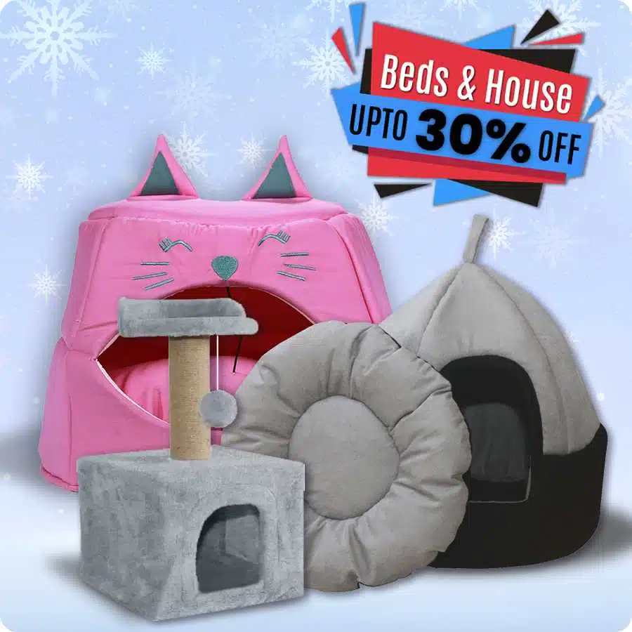 Cat Offers beds & house