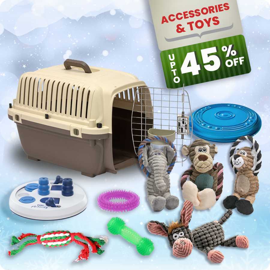 Dog Offers Accessories & Toys