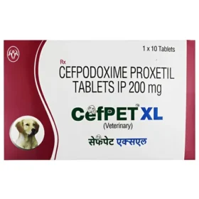 Cefpet XL 200mg For Dogs