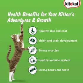 Kitekat Ocean Fish Kitten Dry Food