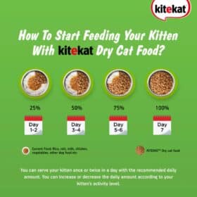 Kitekat Ocean Fish Kitten Dry Food