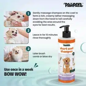 Pawpaya Short Coat Shampoo For Dog