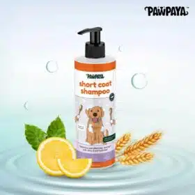 Pawpaya Short Coat Shampoo For Dog