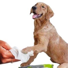 Petex Soft Pet Wipes For Dogs and Cats 100 Wipes