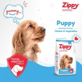 Zippy Puppy Chicken & Vegetables Dry Dog Food