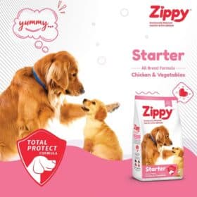 Zippy Starter Chicken & Vegetables Dry Dog Food