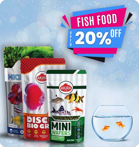 Fish Food offer