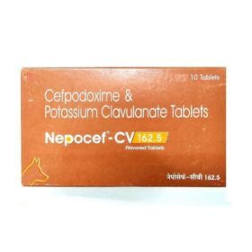 TTK Nepocef-CV 162.5 Flavored Tablets