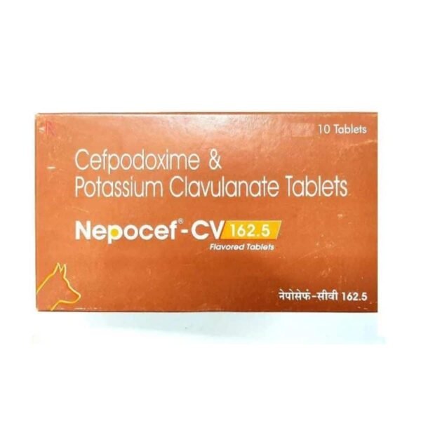 TTK Nepocef-CV 162.5 Flavored Tablets