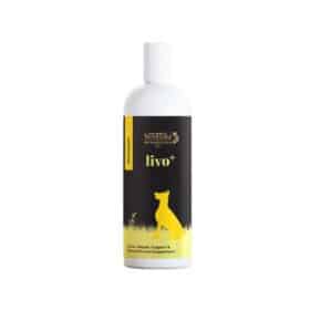 Venttura Livo+ Syrup Dog Supplements