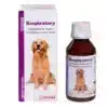 Vetricare Respiratory syrup for Dogs And Cats