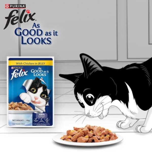 Felix Adult with Chicken in Jelly Wet Cat Food