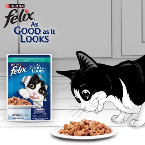 Felix Kitten with Tuna in Jelly Wet Cat Food