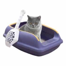 Smarty Pet Dual Colour Open Plastic Cat Litter Tray With Scoop