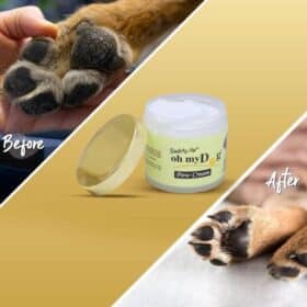 SmartyPet Oh My Dog Paw Cream