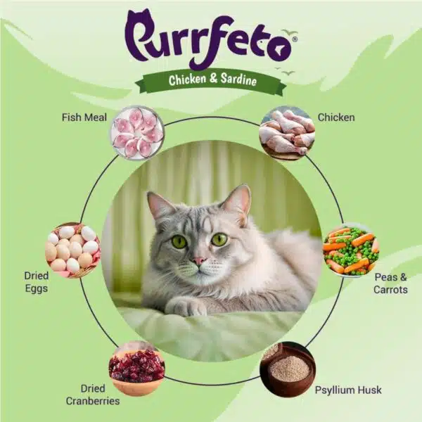 Purrfeto Chicken & Sardine Adult Dry Cat Food
