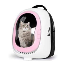 Pgpet Backpacks Cats and Small Dogs for Outdoor Travel