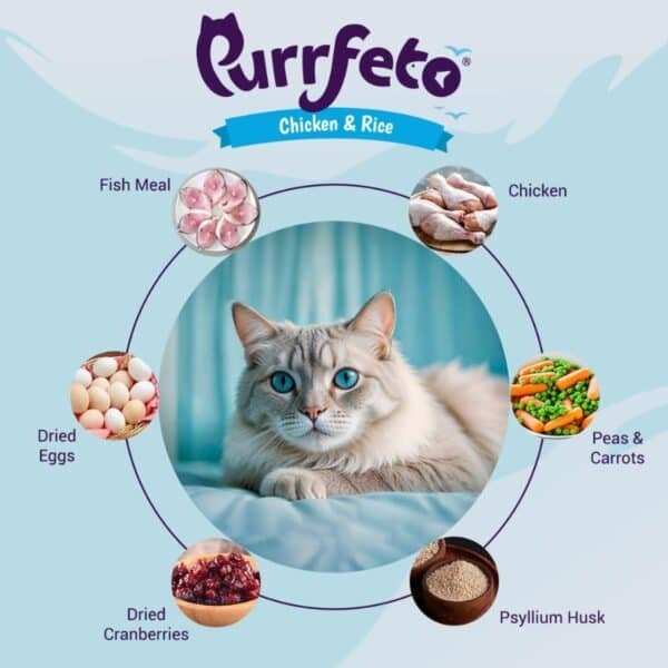 Purrfeto Chicken & Ocean Adult Dry Cat Food