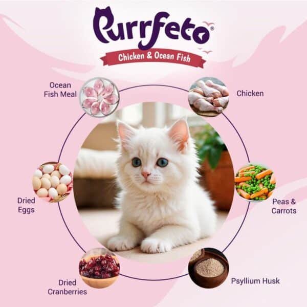 Purrfeto Chicken & Ocean Kitten Dry Cat Food