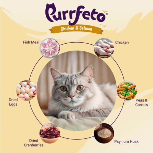 Purrfeto Chicken & Salmon Adult Dry Cat Food