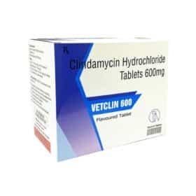 Vetclin Tablet 600mg